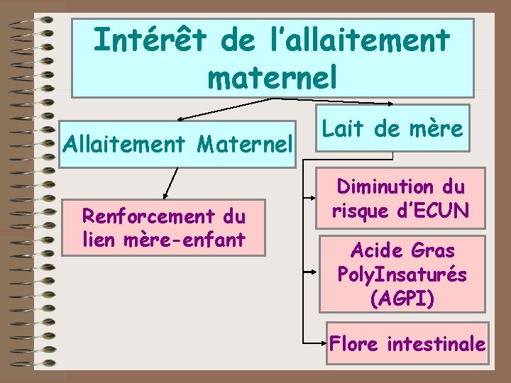 Intérêt de l’allaitement maternel Allaitement Maternel Renforcement du lien mère-enfant Lait de mère Diminution Intérêt de l’allaitement maternel Allaitement Maternel Renforcement du lien mère-enfant Lait de mère Diminution