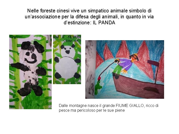 Nelle foreste cinesi vive un simpatico animale simbolo di un’associazione per la difesa degli