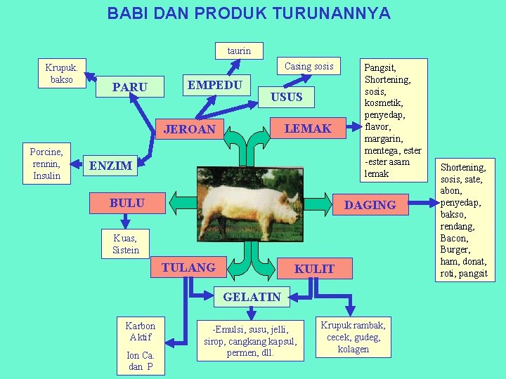 BABI DAN PRODUK TURUNANNYA taurin Krupuk. bakso Casing sosis PARU EMPEDU USUS LEMAK JEROAN