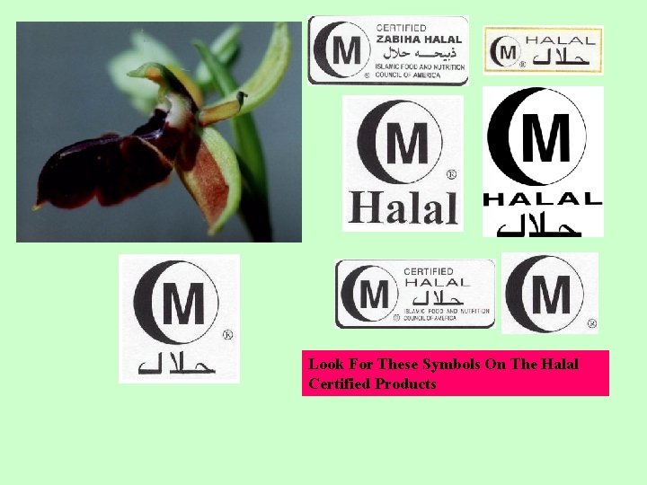 Look For These Symbols On The Halal Certified Products 