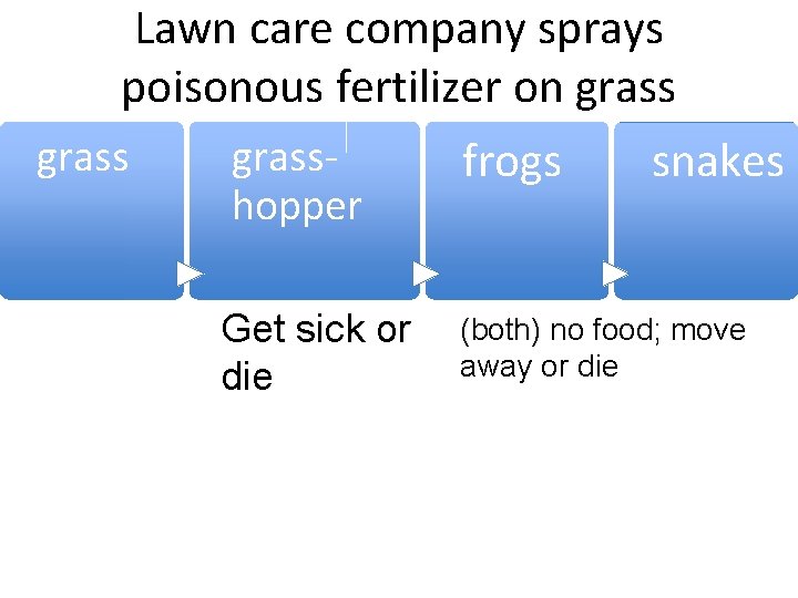 Lawn care company sprays poisonous fertilizer on grasshopper Get sick or die frogs snakes