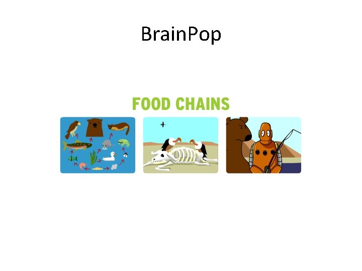 Brain. Pop 