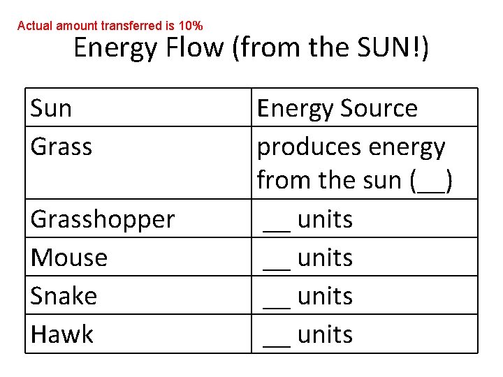 Actual amount transferred is 10% Energy Flow (from the SUN!) Sun Grasshopper Mouse Snake