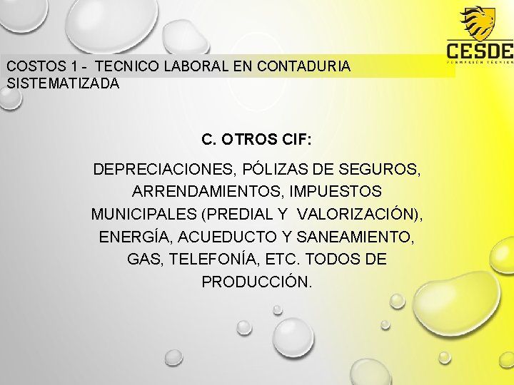 COSTOS 1 - TECNICO LABORAL EN CONTADURIA SISTEMATIZADA C. OTROS CIF: DEPRECIACIONES, PÓLIZAS DE