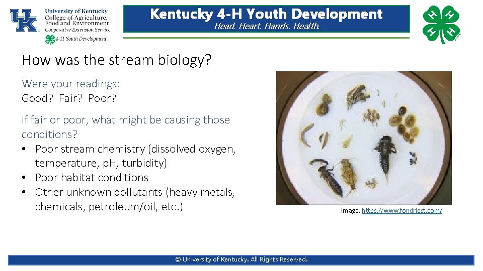 Kentucky 4 -H Youth Development Head. Heart. Hands. Health. How was the stream biology?