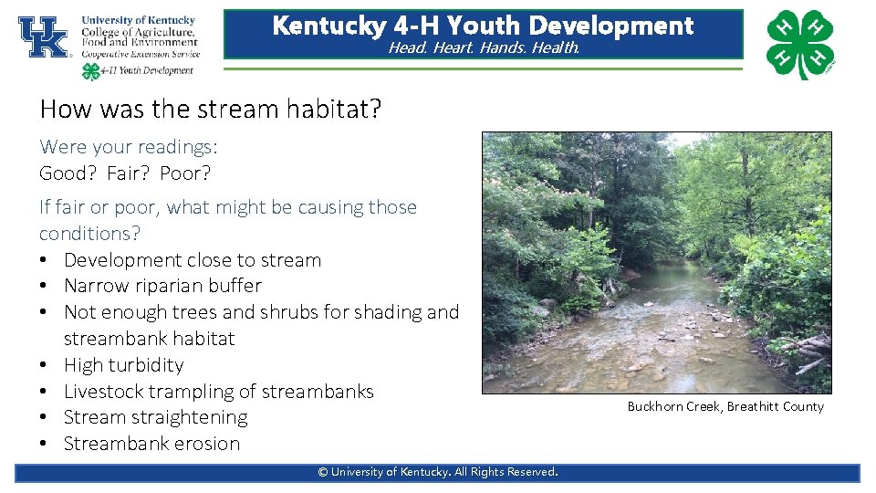 Kentucky 4 -H Youth Development Head. Heart. Hands. Health. How was the stream habitat?