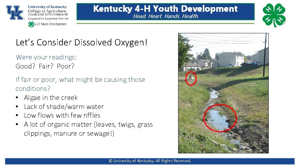 Kentucky 4 -H Youth Development Head. Heart. Hands. Health. Let’s Consider Dissolved Oxygen! Were