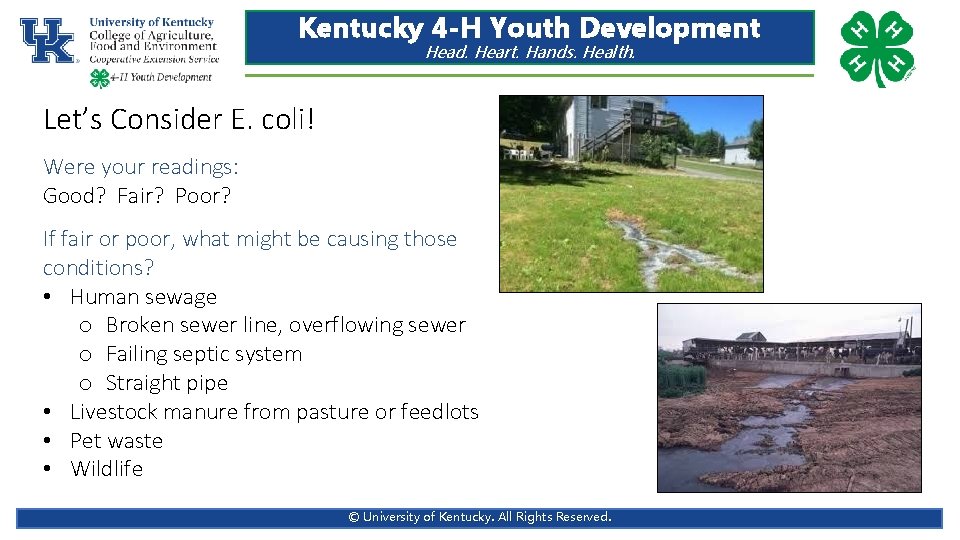 Kentucky 4 -H Youth Development Head. Heart. Hands. Health. Let’s Consider E. coli! Were