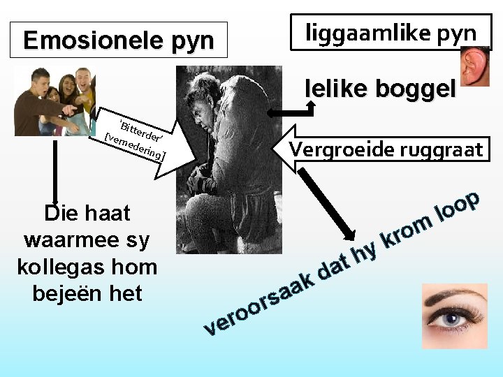 liggaamlike pyn Emosionele pyn lelike boggel ‘Bitt erde r’ ned erin g] [ver Die