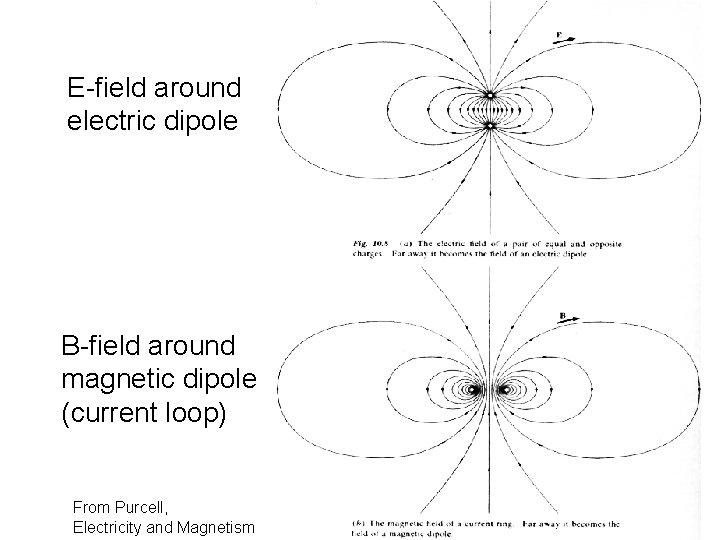 E-field around electric dipole B-field around magnetic dipole (current loop) From Purcell, Electricity and E-field around electric dipole B-field around magnetic dipole (current loop) From Purcell, Electricity and