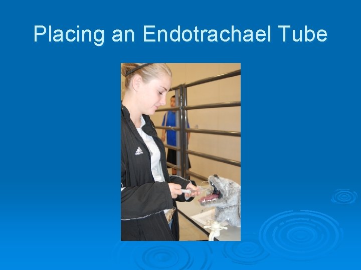 Placing an Endotrachael Tube 