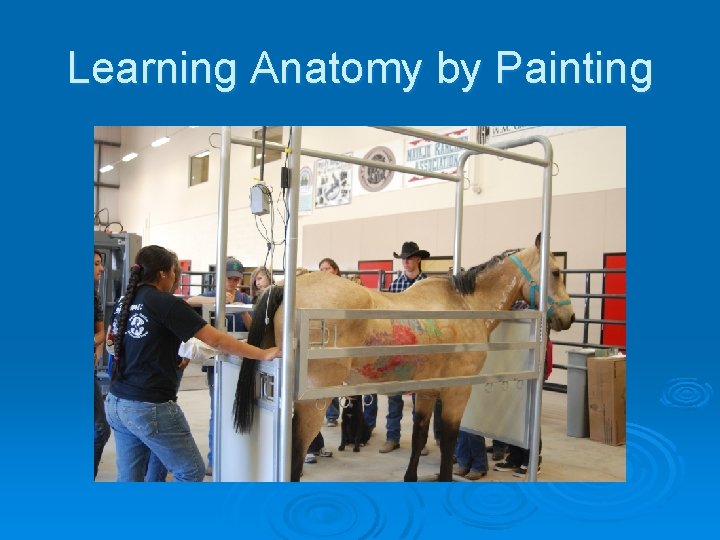 Learning Anatomy by Painting 