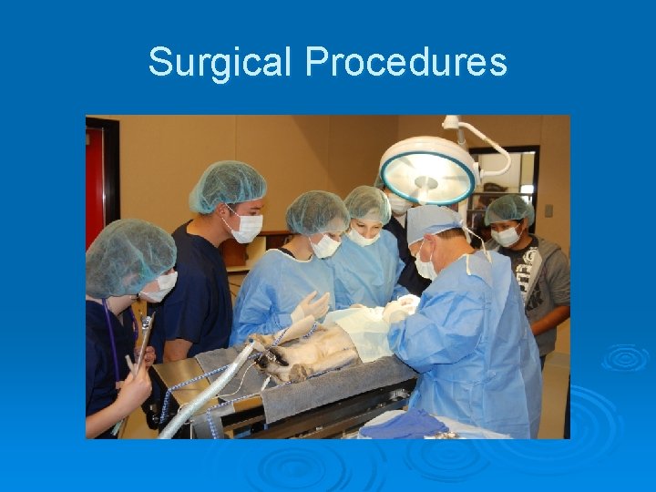 Surgical Procedures 