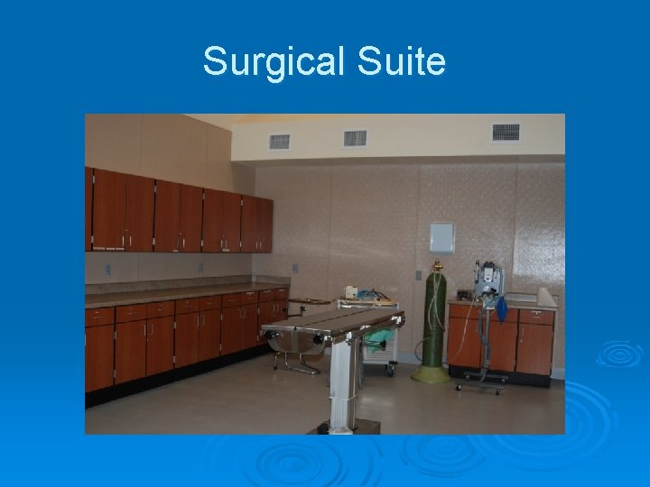 Surgical Suite 