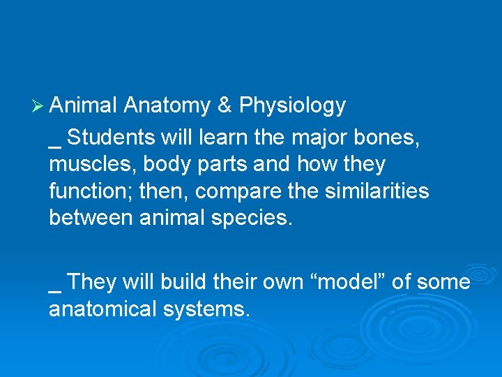 Ø Animal Anatomy & Physiology _ Students will learn the major bones, muscles, body