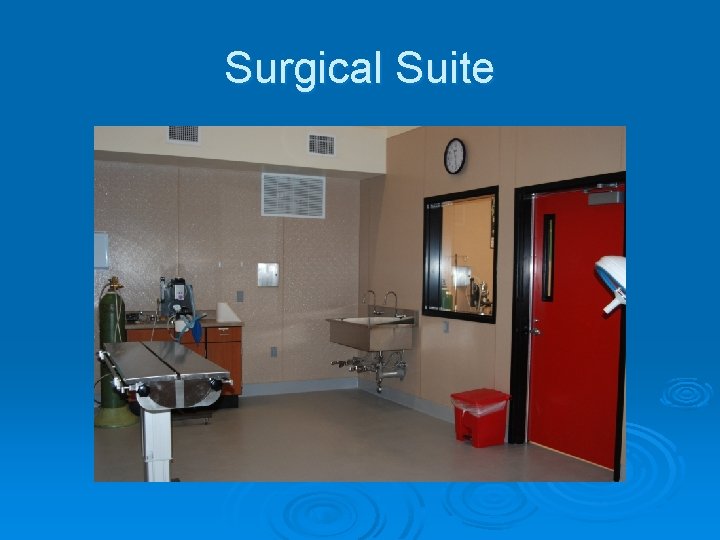 Surgical Suite 