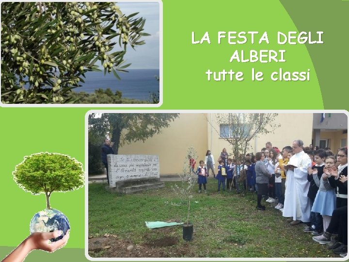 LA FESTA DEGLI ALBERI tutte le classi 