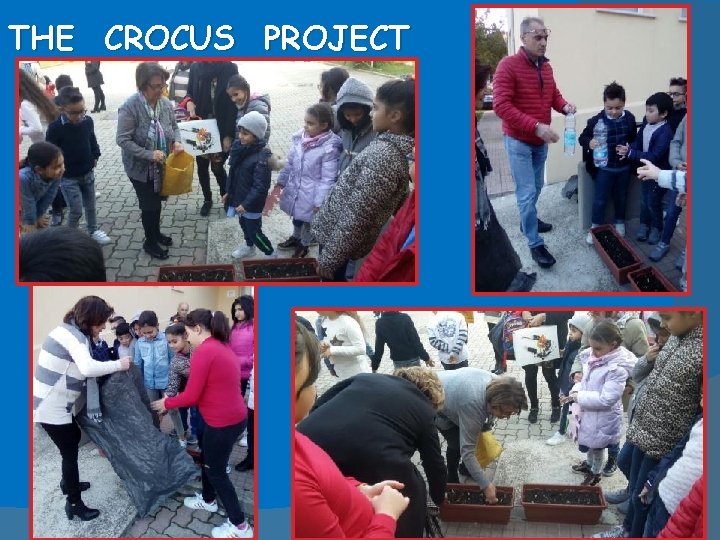 THE CROCUS PROJECT 