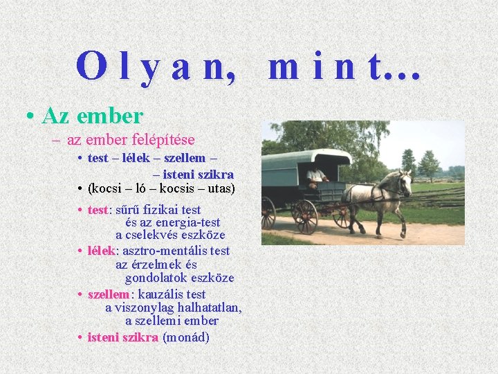 O l y a n, m i n t… • Az ember – az