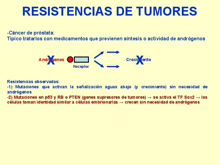 RESISTENCIAS DE TUMORES -Cáncer de próstata: Típico tratarlos con medicamentos que previenen síntesis o