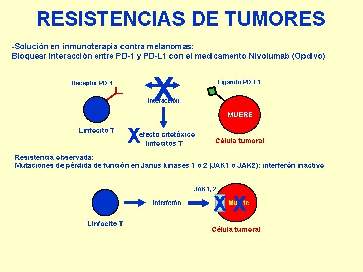 RESISTENCIAS DE TUMORES -Solución en inmunoterapia contra melanomas: Bloquear interacción entre PD-1 y PD-L