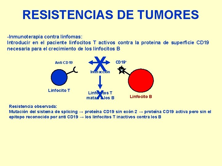 RESISTENCIAS DE TUMORES -Inmunoterapia contra linfomas: Introducir en el paciente linfocitos T activos contra