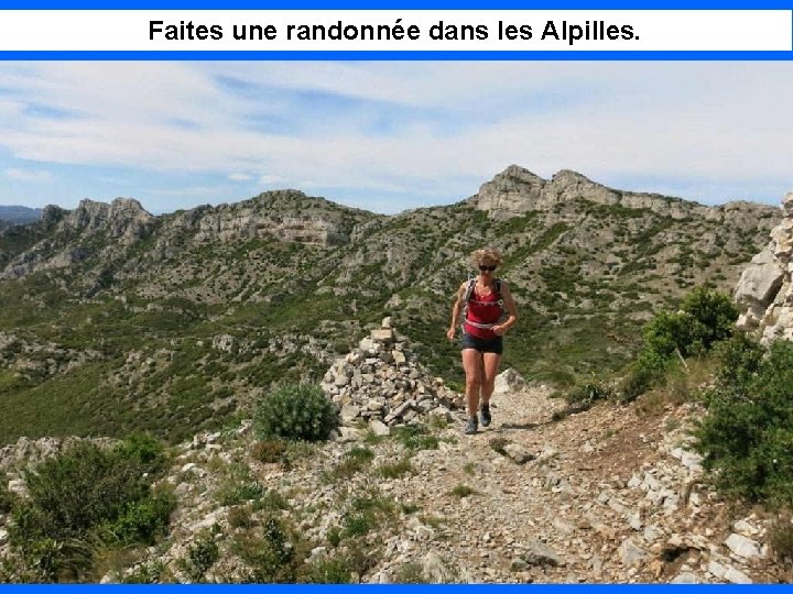 Faites une randonnée dans les Alpilles. 