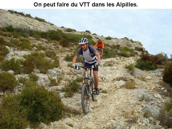 On peut faire du VTT dans les Alpilles. 