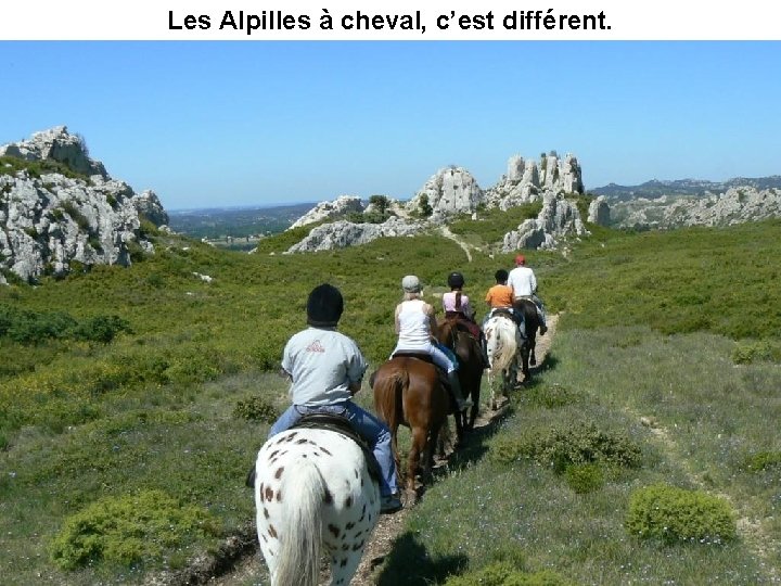 Les Alpilles à cheval, c’est différent. 