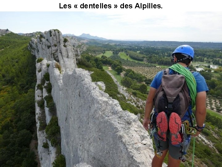 Les « dentelles » des Alpilles. 