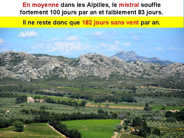 En moyenne dans les Alpilles, le mistral souffle fortement 100 jours par an et