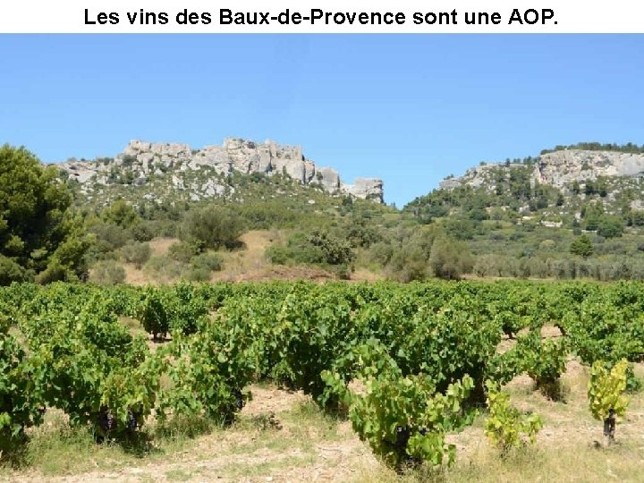 Les vins des Baux-de-Provence sont une AOP. 