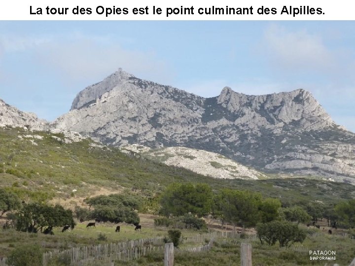 La tour des Opies est le point culminant des Alpilles. PATAGON DIAPORAMAS 