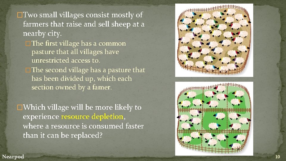 �Two small villages consist mostly of farmers that raise and sell sheep at a
