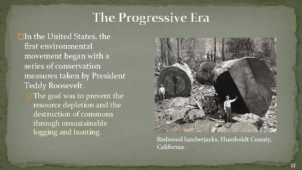 The Progressive Era �In the United States, the first environmental movement began with a
