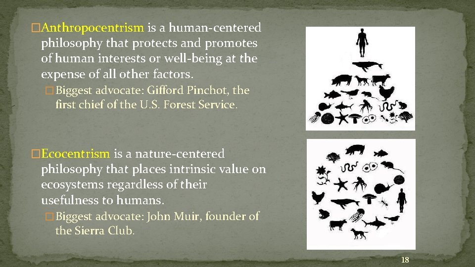 �Anthropocentrism is a human-centered philosophy that protects and promotes of human interests or well-being