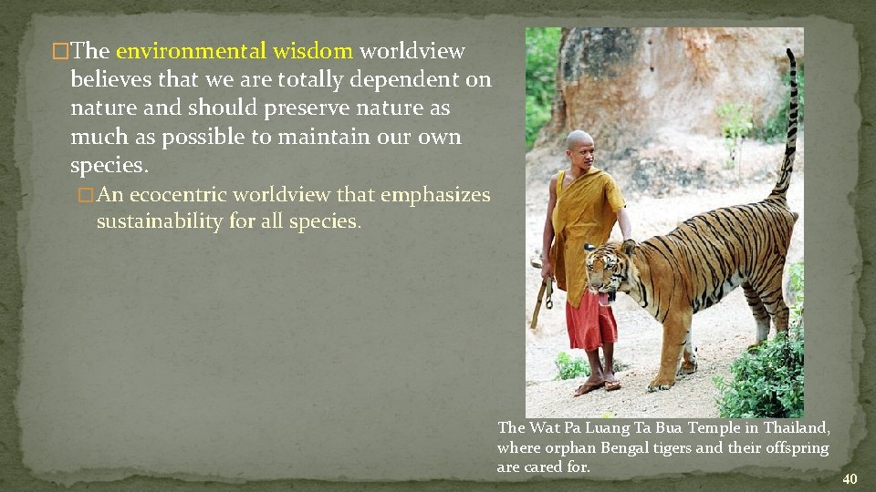 �The environmental wisdom worldview believes that we are totally dependent on nature and should