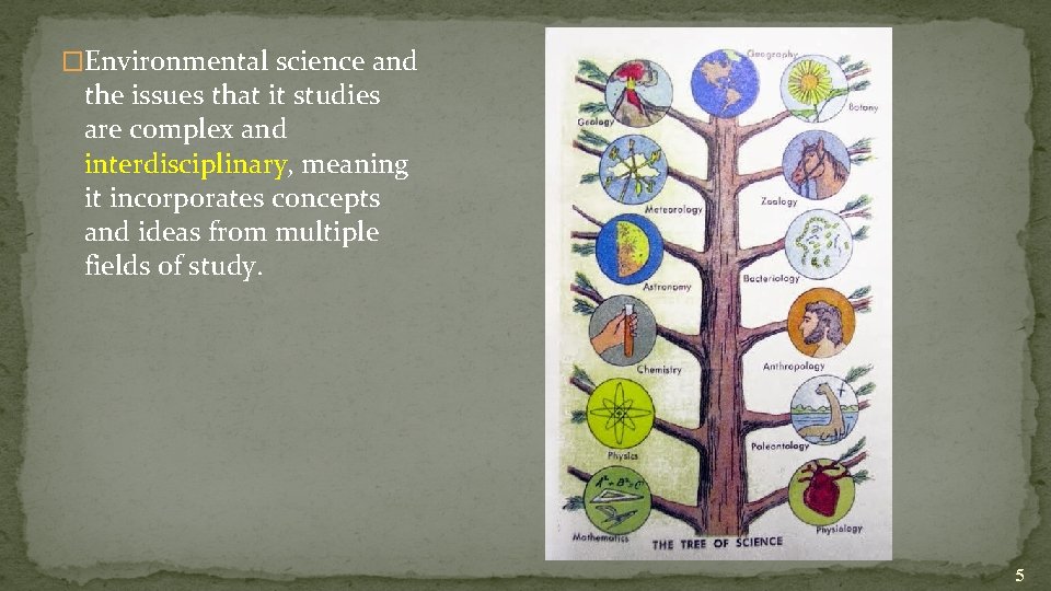 �Environmental science and the issues that it studies are complex and interdisciplinary, meaning it