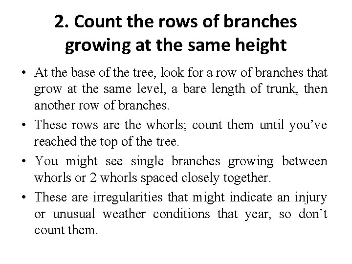 2. Count the rows of branches growing at the same height • At the 2. Count the rows of branches growing at the same height • At the