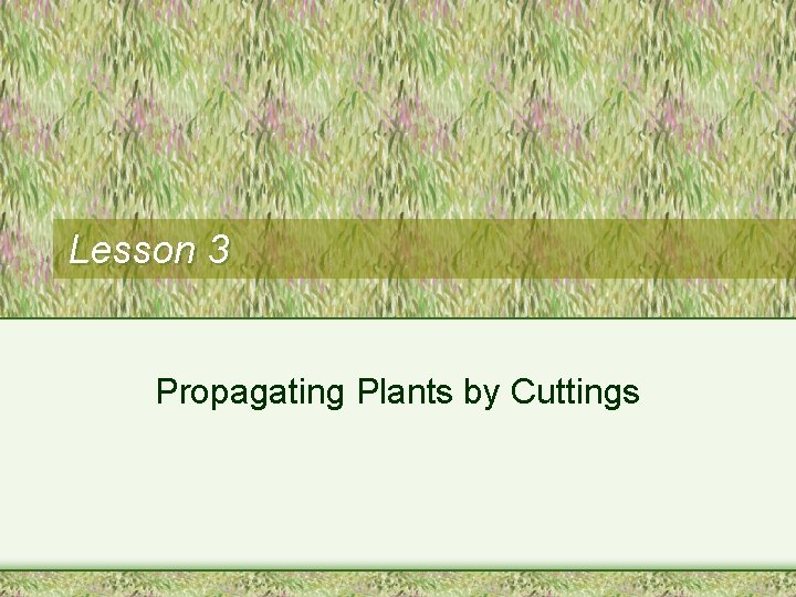 Lesson 3 Propagating Plants by Cuttings 