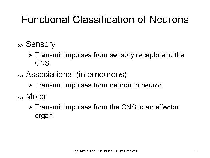 Functional Classification of Neurons Sensory Ø Associational (interneurons) Ø Transmit impulses from sensory receptors