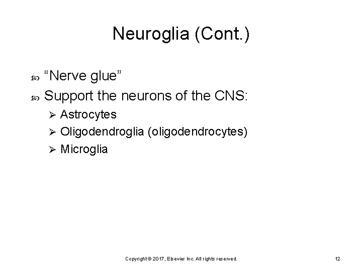 Neuroglia (Cont. ) “Nerve glue” Support the neurons of the CNS: Astrocytes Ø Oligodendroglia