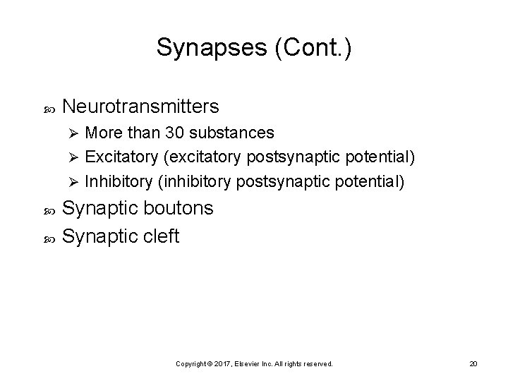 Synapses (Cont. ) Neurotransmitters More than 30 substances Ø Excitatory (excitatory postsynaptic potential) Ø