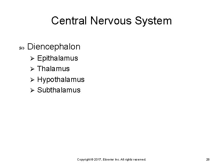 Central Nervous System Diencephalon Epithalamus Ø Thalamus Ø Hypothalamus Ø Subthalamus Ø Copyright ©