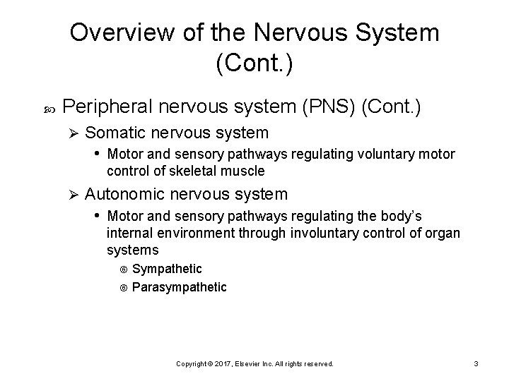 Overview of the Nervous System (Cont. ) Peripheral nervous system (PNS) (Cont. ) Ø