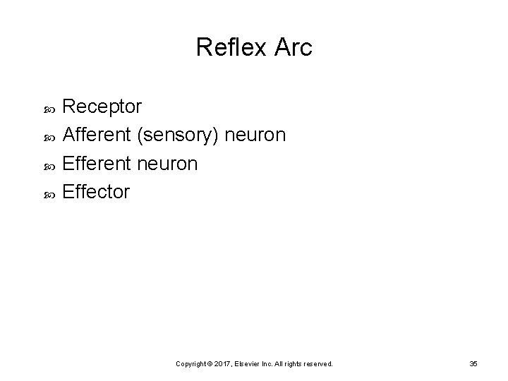 Reflex Arc Receptor Afferent (sensory) neuron Efferent neuron Effector Copyright © 2017, Elsevier Inc.