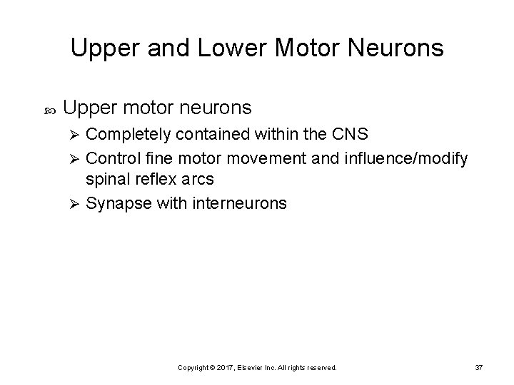 Upper and Lower Motor Neurons Upper motor neurons Completely contained within the CNS Ø