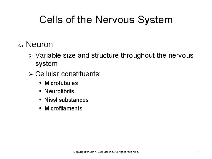Cells of the Nervous System Neuron Variable size and structure throughout the nervous system