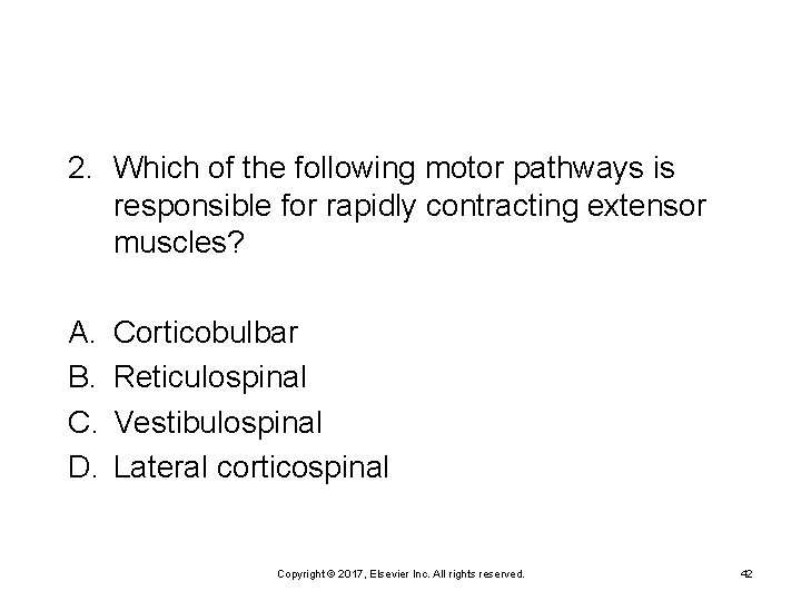 2. Which of the following motor pathways is responsible for rapidly contracting extensor muscles?