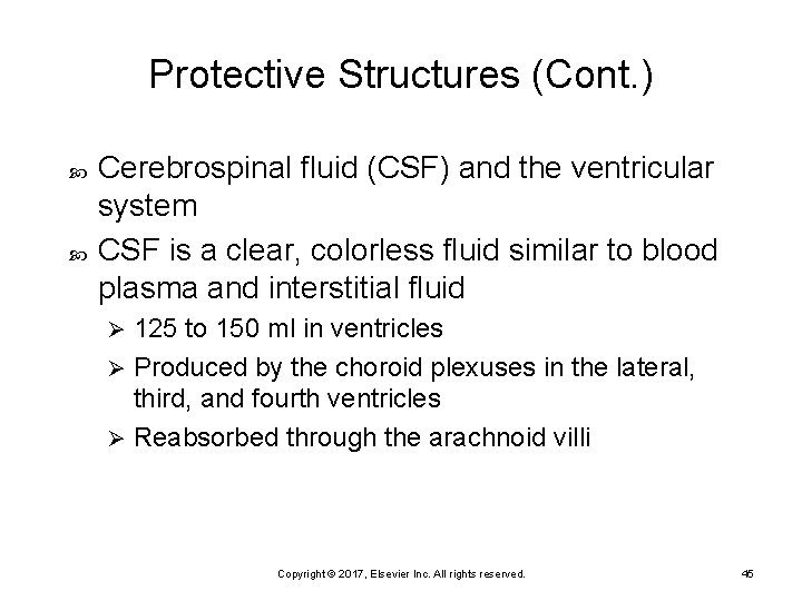 Protective Structures (Cont. ) Cerebrospinal fluid (CSF) and the ventricular system CSF is a